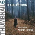 Cover: Thumbnail 6: Flash Fiction - Cobalt Press