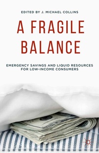 Enlarge image Cover: A Fragile Balance - Palgrave MacMillan