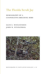 Enlarge image Cover: The Florida Scrub Jay - Princeton University Press