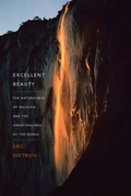 Cover: Excellent Beauty - De Gruyter