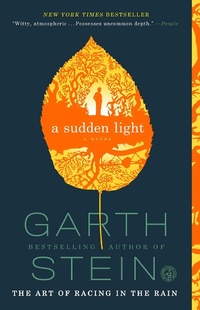 Enlarge image Cover: A Sudden Light - Simon & Schuster