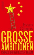 Cover: Gro&szlig;e Ambitionen - Suhrkamp