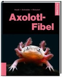 Abbildung von: Axolotl-Fibel - Dähne Verlag