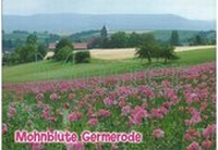 Abbildung von: Ansichtskarte Meißner-Germerode, "Mohnblüte Germerode" - Frühauf, Buchhandlung, Inh. Wolfgang Frühauf e.K.