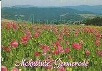 Abbildung von: Ansichtskarte Meißner-Germerode "Mohnblüte Germerode 2" - Frühauf, Buchhandlung, Inh. Wolfgang Frühauf e.K.