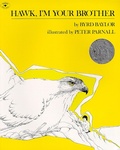 Cover: Hawk, i'm Your Brother - Atheneum Books for Young Readers