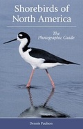 Cover: Shorebirds of North America - Princeton University Press