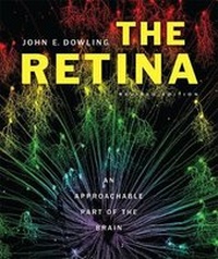 Abbildung von: The Retina - The Belknap Press