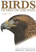 Cover: Birds of Prey of the West - Princeton University Press