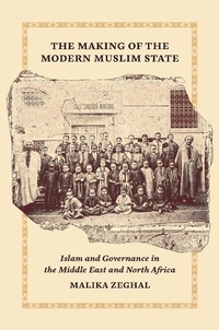 Enlarge image Cover: The Making of the Modern Muslim State - Princeton University Press