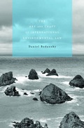 Bild: The Art and Craft of International Environmental Law - Harvard University Press