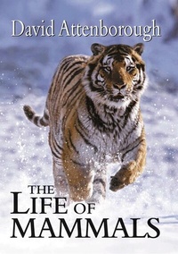 Abbildung von: The Life of Mammals - Princeton University Press
