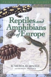 Abbildung von: Reptiles and Amphibians of Europe - Princeton University Press