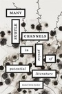 Cover: Many Subtle Channels - Harvard University Press
