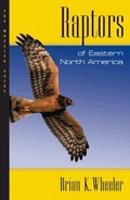Cover: Raptors of Eastern North America - Princeton University Press