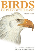 Cover: Birds of Prey of the East - Princeton University Press