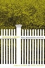 Cover: Ordered Liberty - Harvard University Press