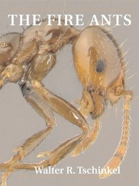 Abbildung von: The Fire Ants - The Belknap Press