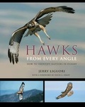 Cover: Hawks from Every Angle - Princeton University Press