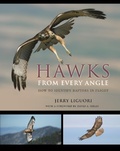 Cover: Hawks from Every Angle - Princeton University Press