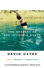 Cover: The Wonders of the Invisible World - Vintage Books