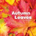 Cover: Autumn Leaves - Raintree