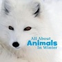 Cover: All About Animals in Winter - Raintree