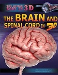 Cover: The Brain and Spinal Cord in 3D - Rosen Central