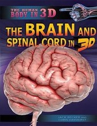 Enlarge image Cover: The Brain and Spinal Cord in 3D - Rosen Central