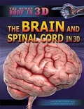 Cover: The Brain and Spinal Cord in 3D - Rosen Central