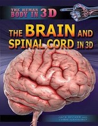 Enlarge image Cover: The Brain and Spinal Cord in 3D - Rosen Central