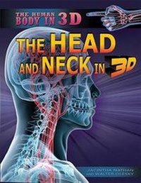 Enlarge image Cover: The Head and Neck in 3D - Rosen Central
