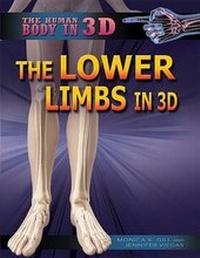 Enlarge image Cover: The Lower Limbs in 3D - Rosen Central