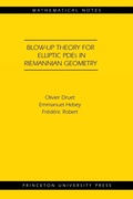 Bild: Blow-up Theory for Elliptic PDEs in Riemannian Geometry - Princeton University Press