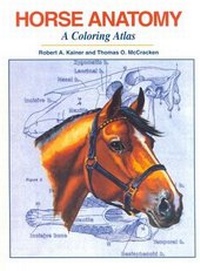 Abbildung von: Horse Anatomy - Alpine Publications,U.S.