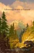 Cover: Yellowstone's Wildlife in Transition - Harvard University Press