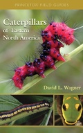 Cover: Caterpillars of Eastern North America - Princeton University Press