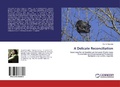 Cover: A Delicate Reconciliation - LAP Lambert Academic Publishing