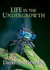 Abbildung von: Life in the Undergrowth - Princeton University Press