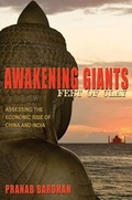 Cover: Awakening Giants, Feet of Clay - Princeton University Press