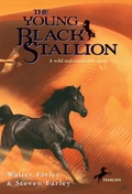Cover: The Young Black Stallion - Random House USA Children's Books
