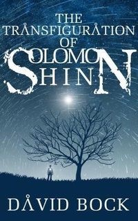 Enlarge image Cover: The Transfiguration of Solomon Shinn - Wonder Owl Publishing