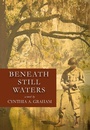 Cover: Beneath Still Waters - Blank Slate Press