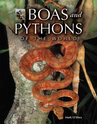 Abbildung von: Boas and Pythons of the World - Princeton University Press
