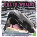 Cover: Killer Whales - Raintree