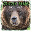 Cover: Grizzly Bears - Raintree