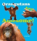 Cover: Orangutans Are Awesome! - Raintree
