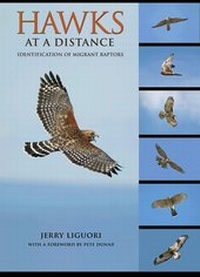 Enlarge image Cover: Hawks at a Distance - Princeton University Press