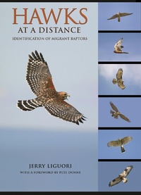 Enlarge image Cover: Hawks at a Distance - Princeton University Press