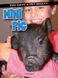 Enlarge image Cover: Mini Pig - Rourke Educational Media